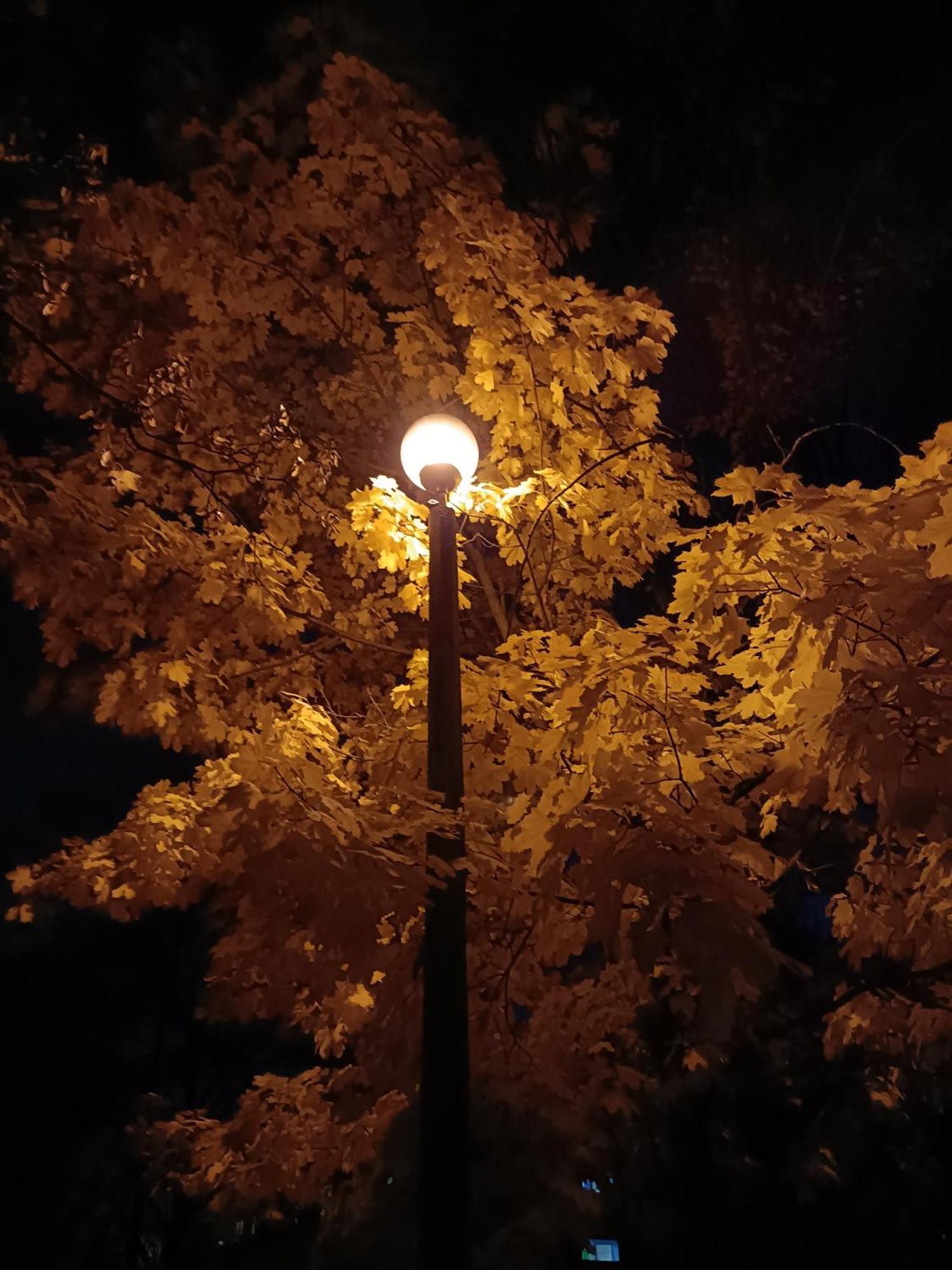 Pokoje Przytulnie Jak W Domu Cracovia Exterior foto